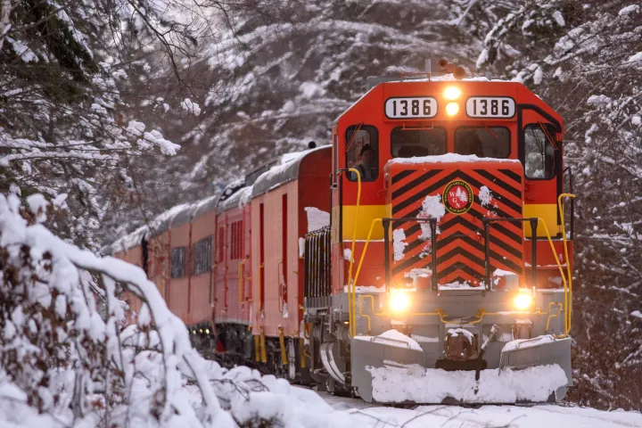 Red and yellow train on snowy tracks in a forested area.